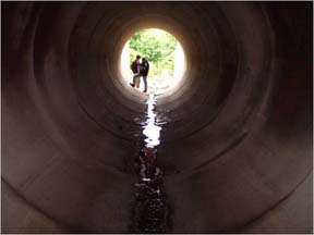 Inspection of a culvert.