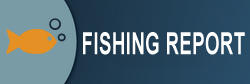 Fishing Report