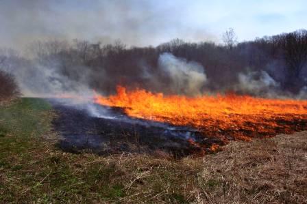 Prescribed Burning